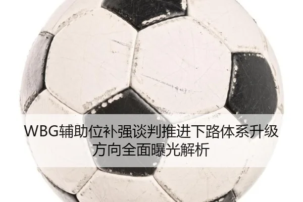 WBG辅助位补强谈判推进下路体系升级方向全面曝光解析